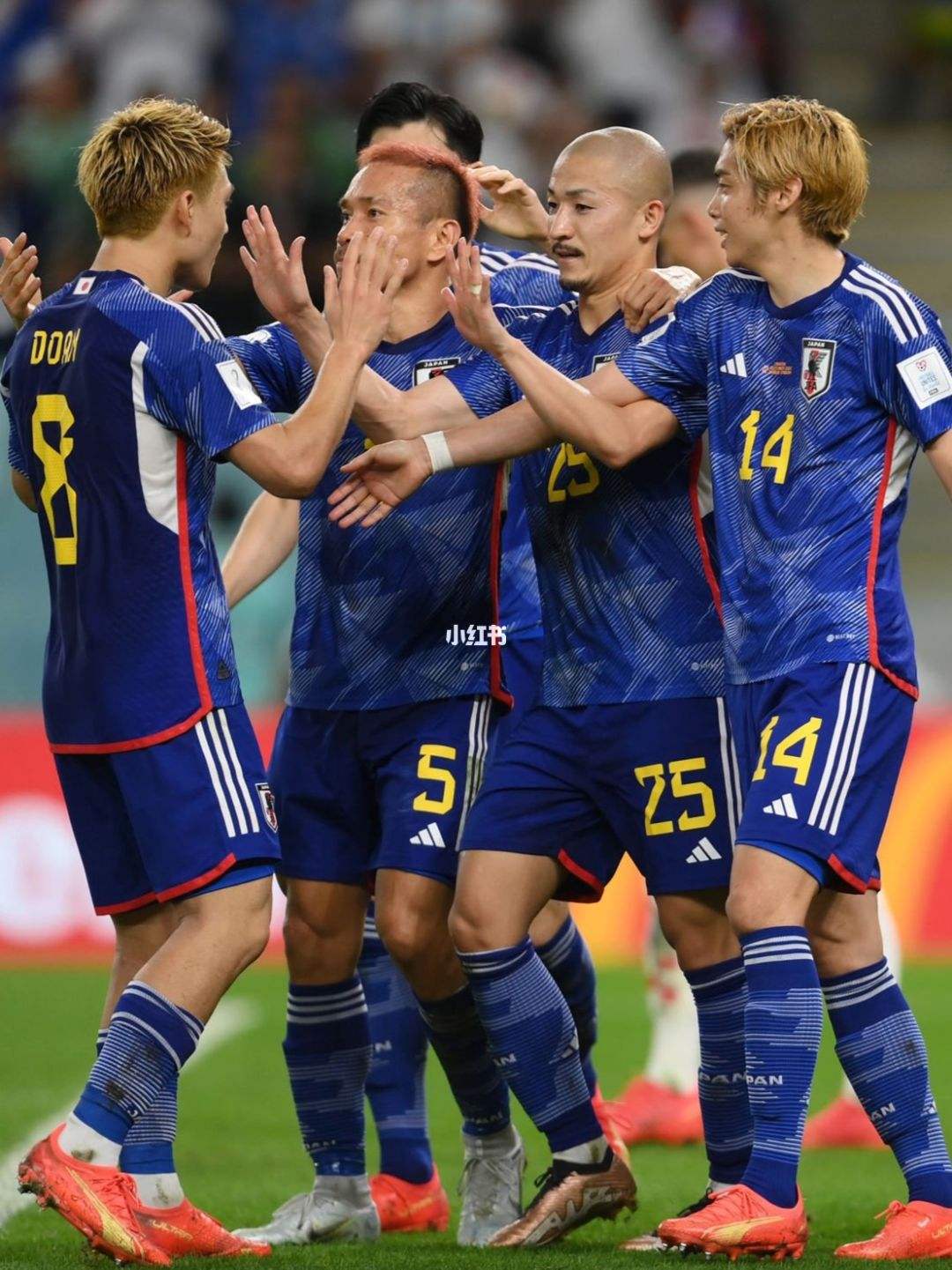 2022世界杯日本队(2022世界杯日本队赛程)  第1张