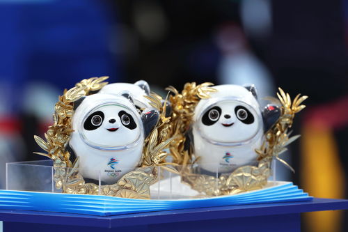 2022年北京冬奥会吉祥物(2022年北京冬奥会吉祥物冰墩墩和大熊猫有什么关联)  第2张