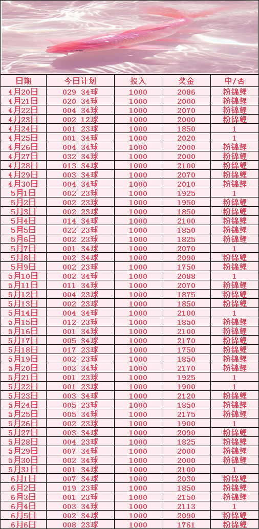 竞彩足球比赛规则(竞彩足球玩法规则大全)  第2张