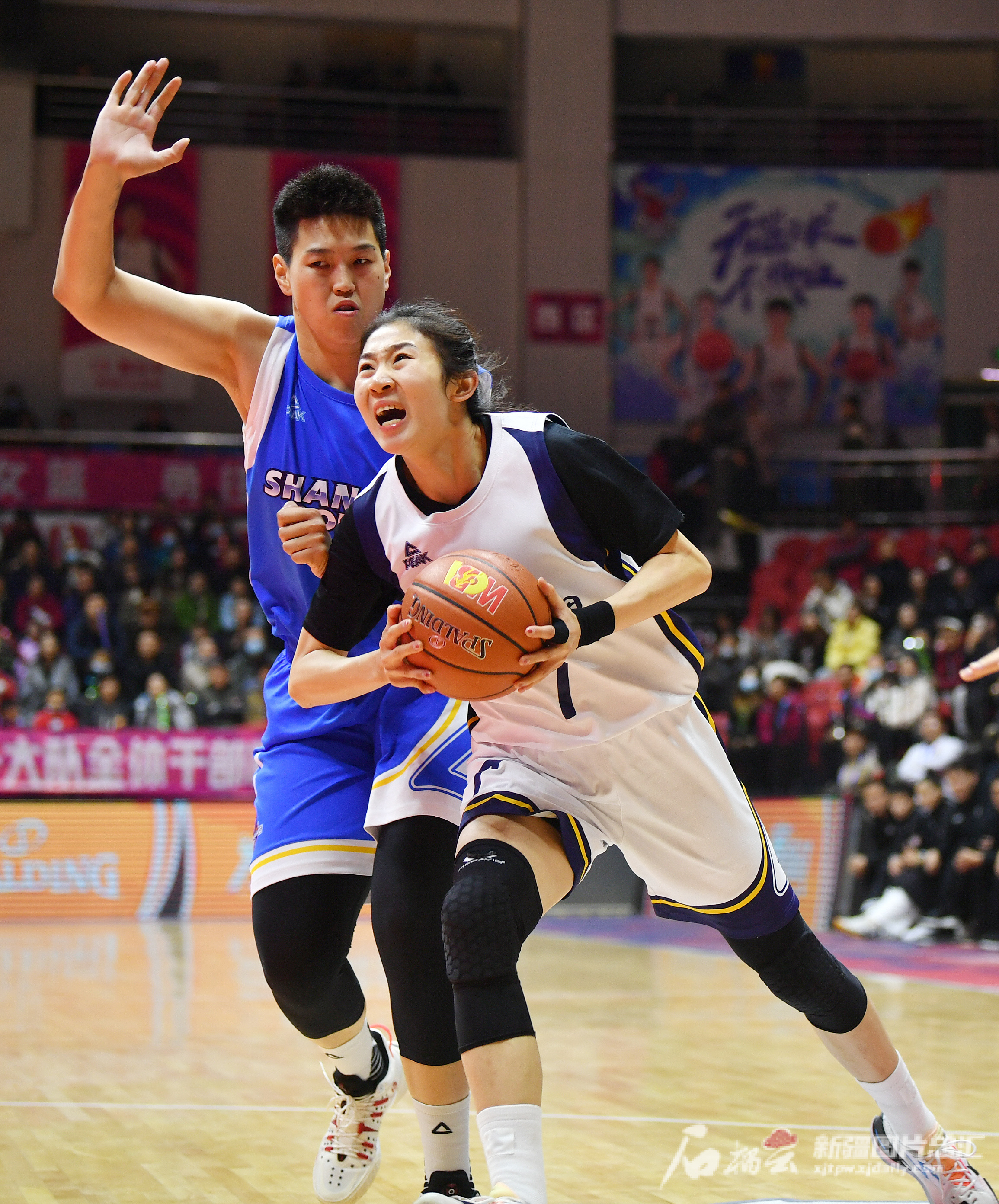 wcba官网(wcba官网全明星投票入口)  第2张