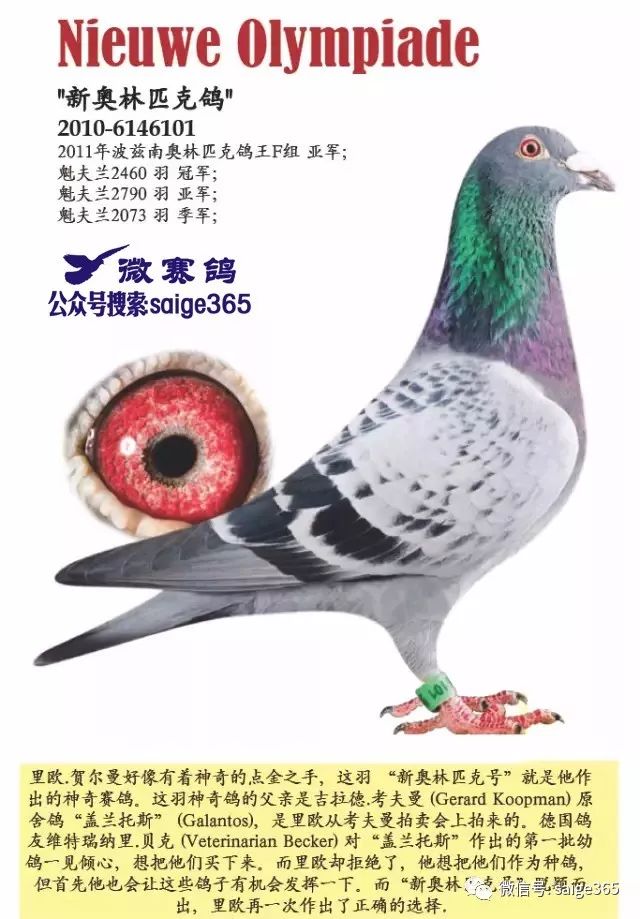 比利时球员身价排名(比利时球员身价排名表)  第2张