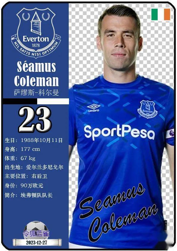 埃弗顿足球俱乐部(埃弗顿足球俱乐部队徽)  第2张