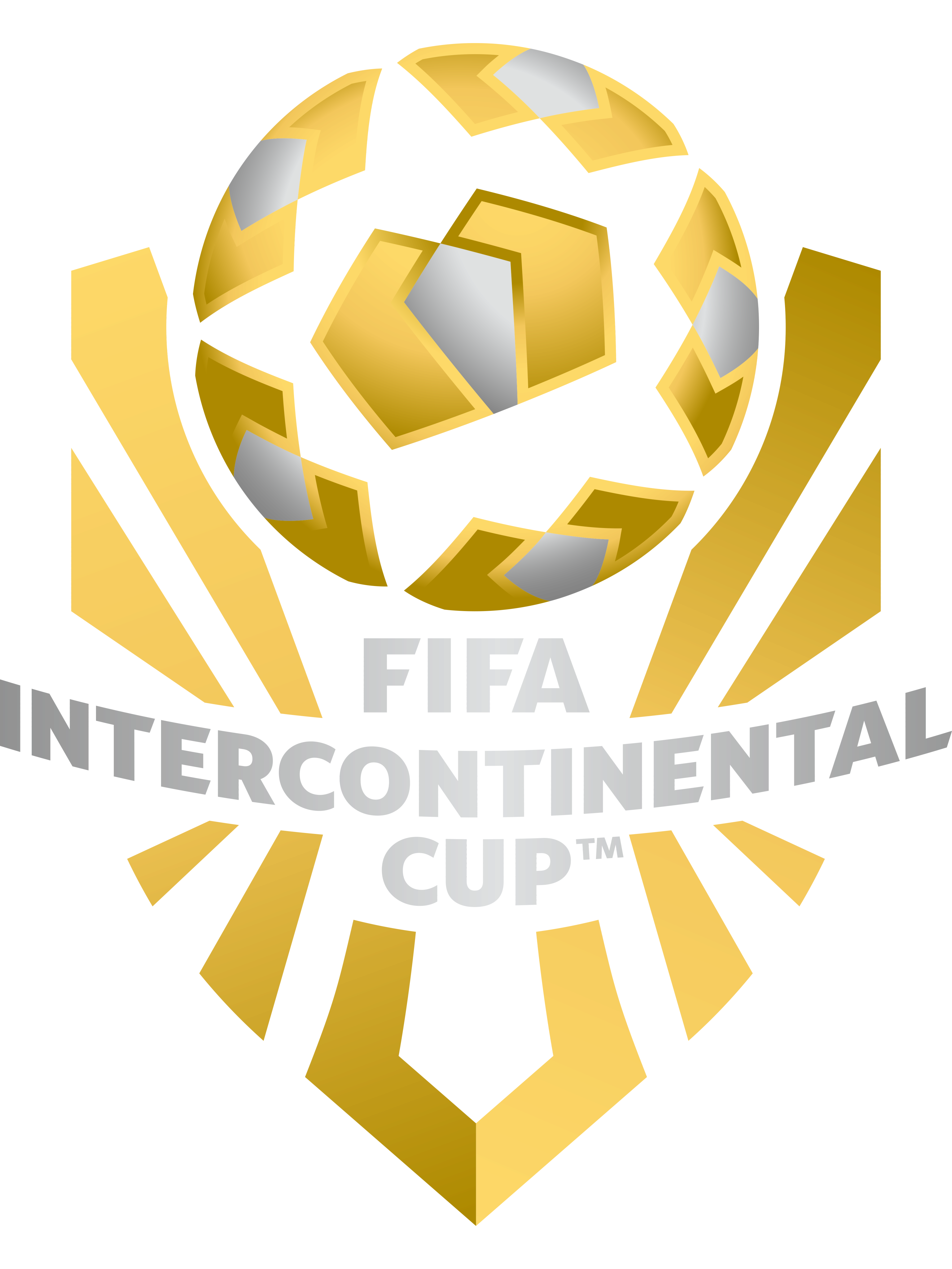 足球世界杯2022在哪里举行(2022足球世界杯在哪个国家举办,具体日期)  第2张