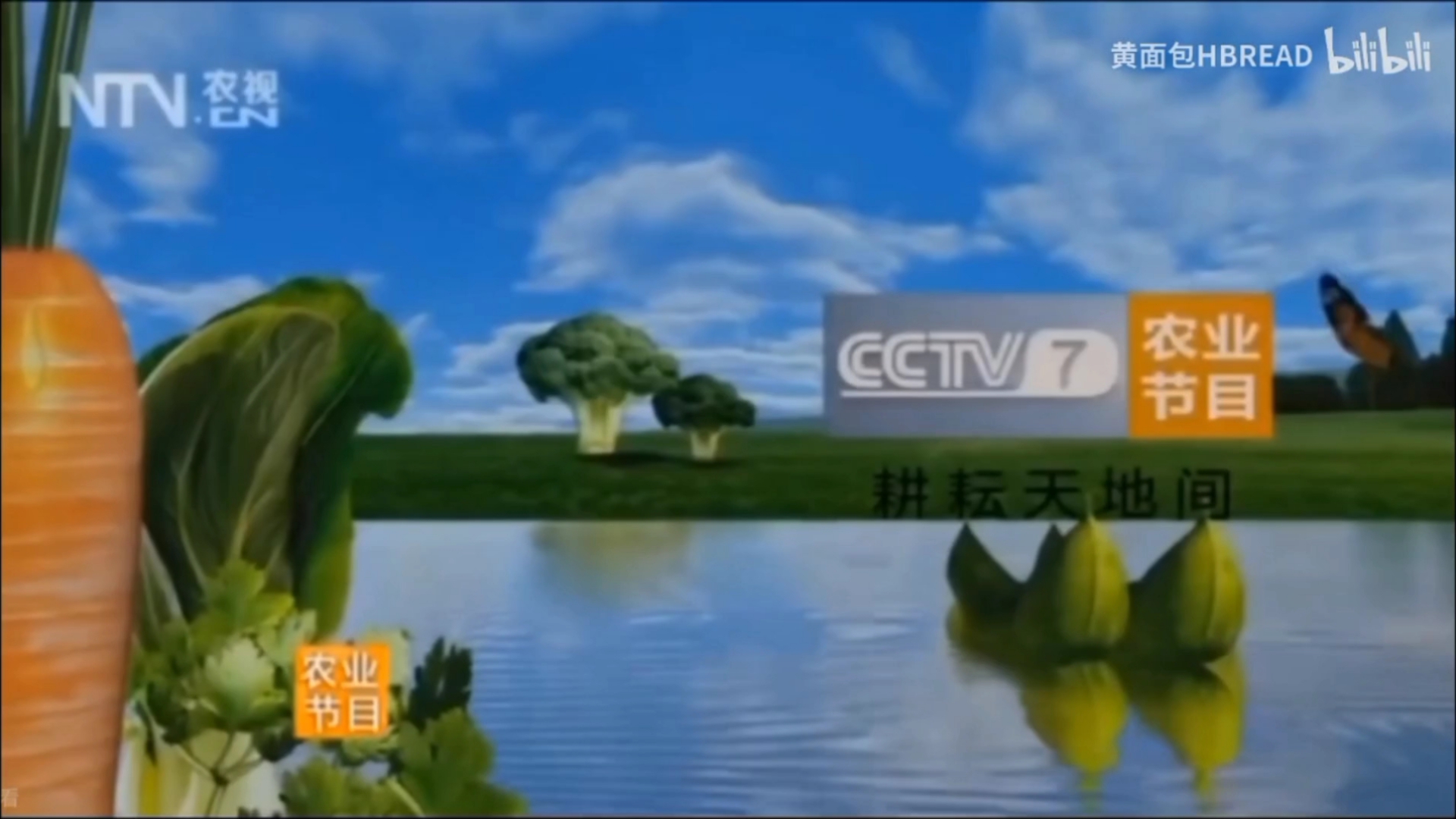 中央电视台七频道直播(中央电视台七频道直播现场)  第1张