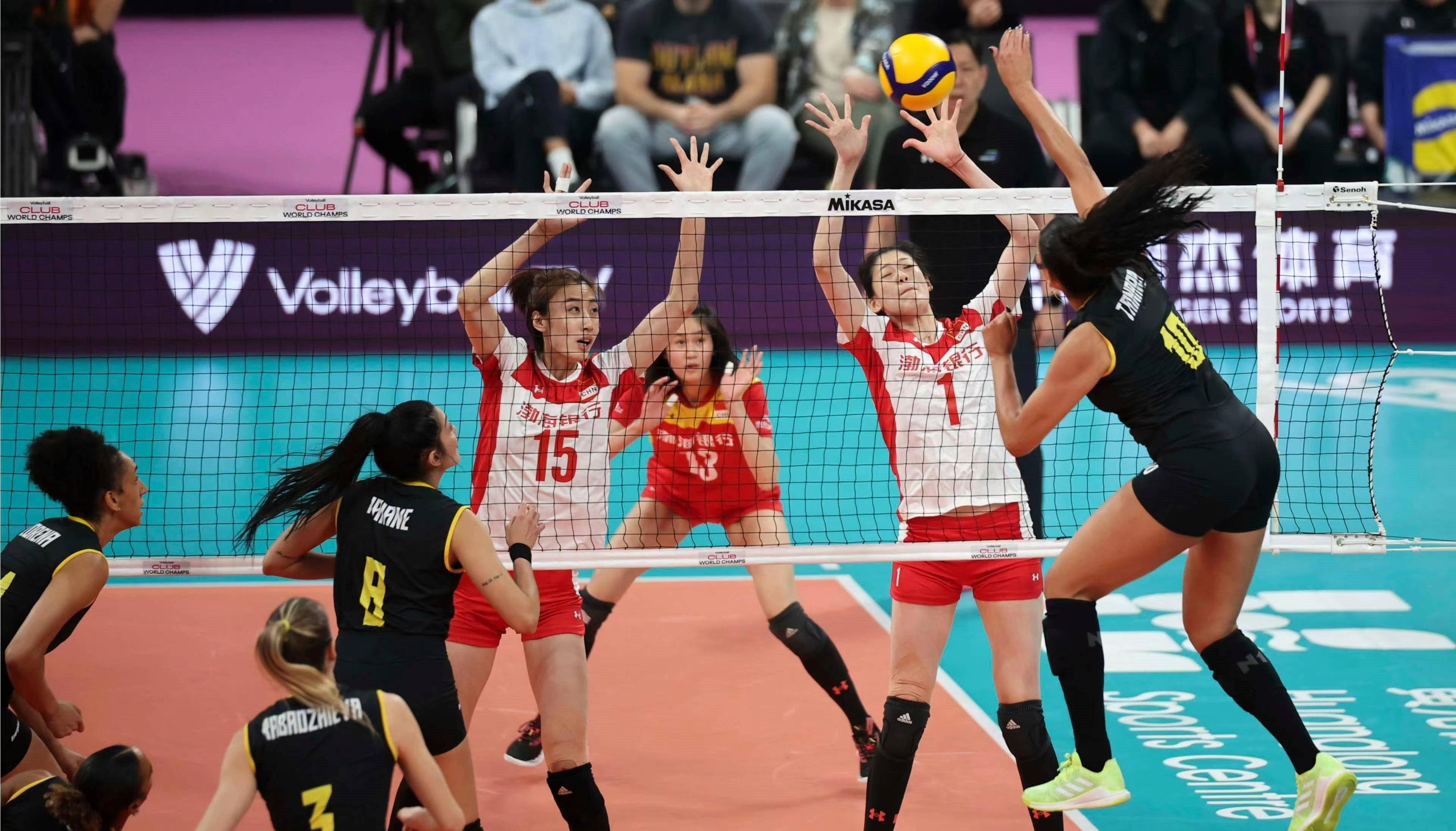 中国女排最新动态(中国女排最新动态今天)  第1张