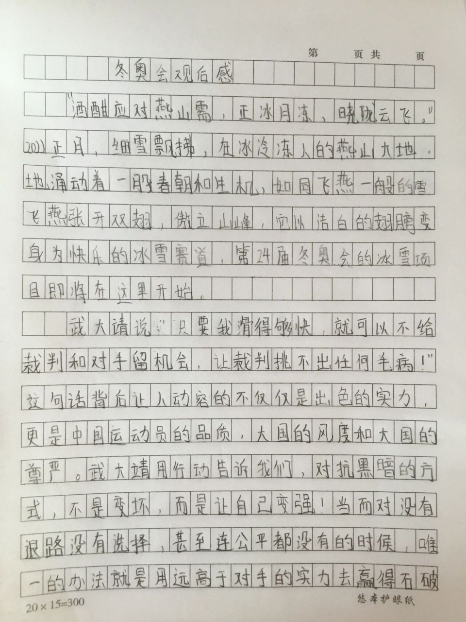 2022冬奥会观后感(2022年冬奥会观后感)  第1张
