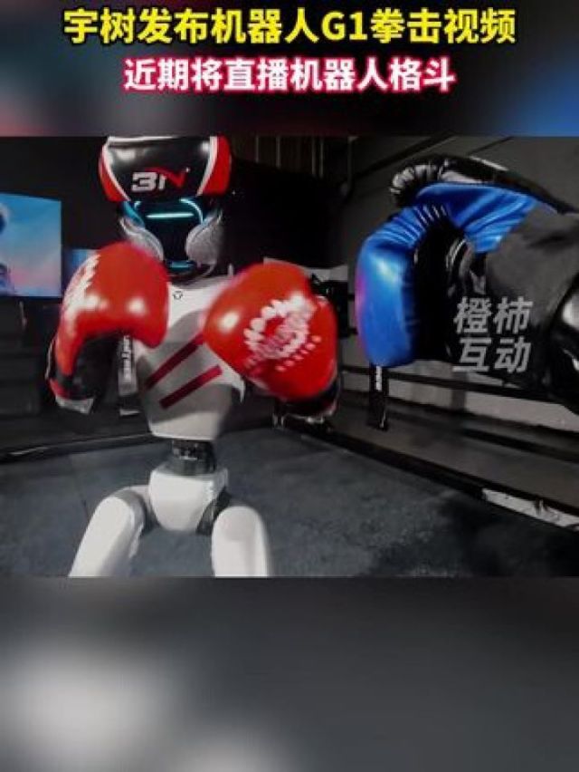 拳击直播在线观看(拳击直播在线观看张伟丽视频)  第1张