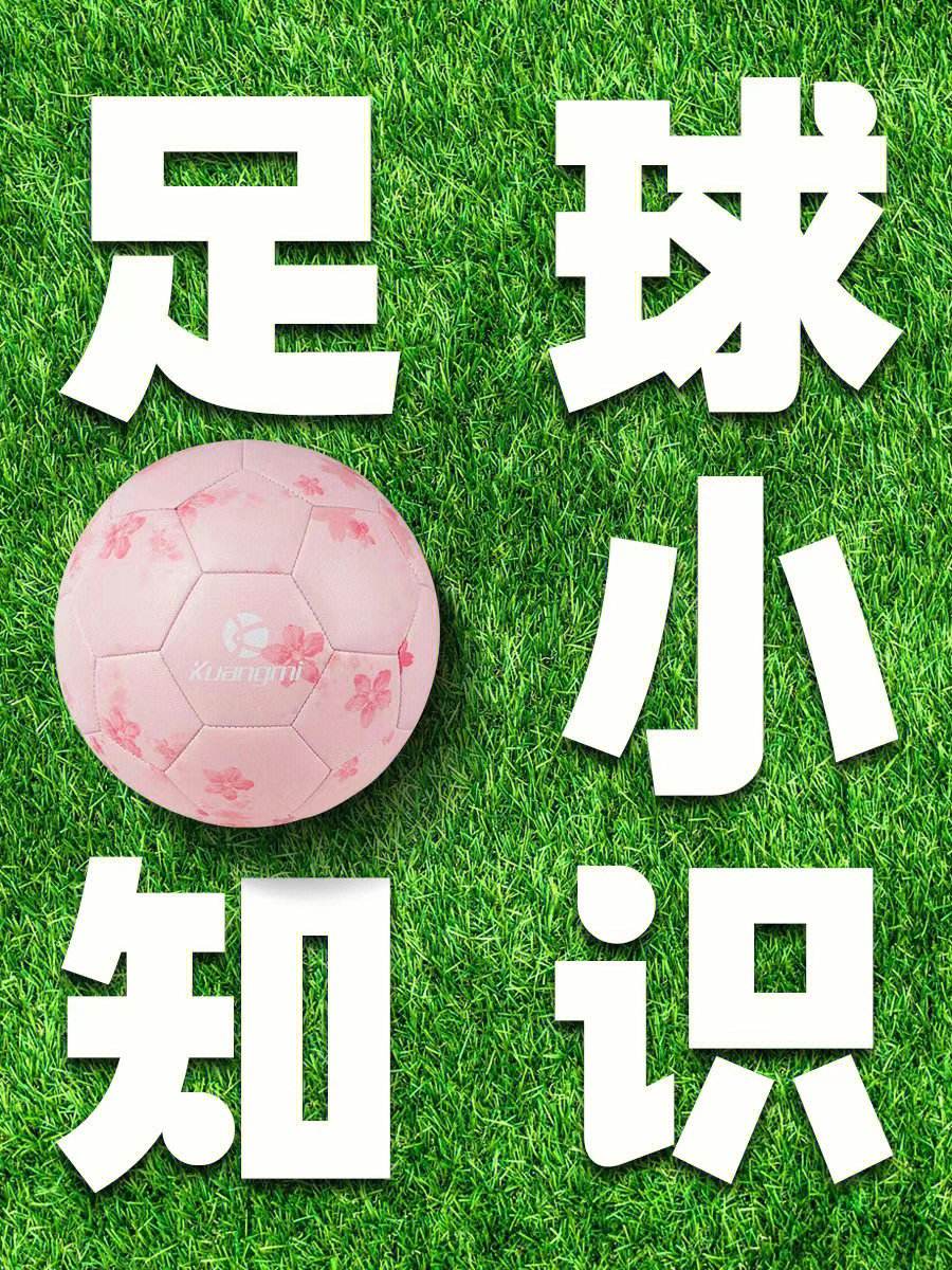 足球的一些基本知识(足球的一些基本知识是什么意思)  第2张